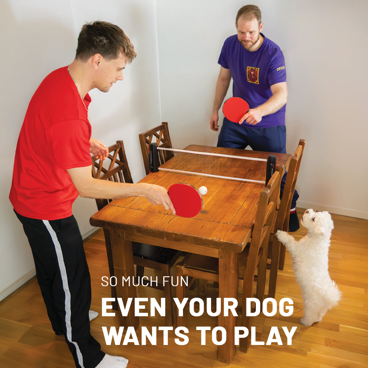 Pongfinity Ping Pong Set – Retractable Net, Paddles & Balls